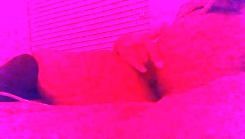 Ebony teen 18+ Masturbates And Squirts On Bed Nosyrins